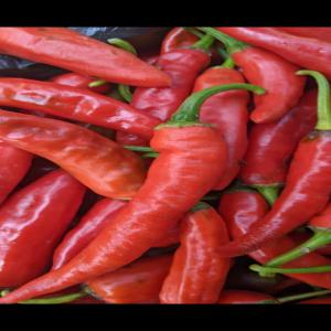  Fournisseur De Légumes - fruits et légumes je recherche des acheteurs pour mes produits de bonne qualité, piment rouge,  fonio,  beure de karité,  soumara naturel.. mes produits sont sans produits chimique.