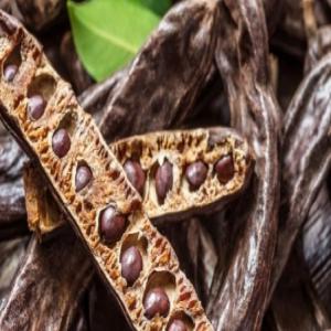  Caroube Carob - fruits secs et graines grillées on cherche des potentiels clients int&eacute;ress&eacute;s par notre r&eacute;colte en gousse de caroube marocain m. nous disposons des quantit&eacute;s importantes et selon la demande. 