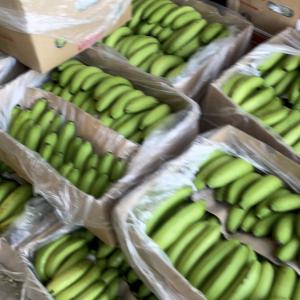  Bananes Emballé Et Prête La Consommation. - fruits et légumes je poss&egrave;de un chargement de plusieurs tonnes de bananes conditionn&eacute;es et pr^te &agrave; la vente,  et je recherche des clients potentiels dans le but de les vendre. 