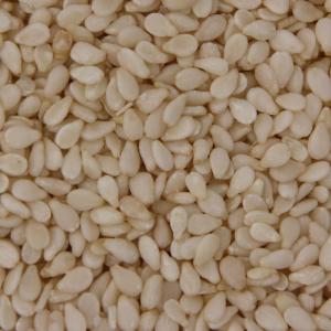  Sésame Blanc Disponibles - fruits secs et graines grillées nous avons un stock de s&eacute;same blanc disponibles en magasin au prix livr&eacute; de 1200 f avec une grande quantit&eacute; de plus de 8000 tonnes 
