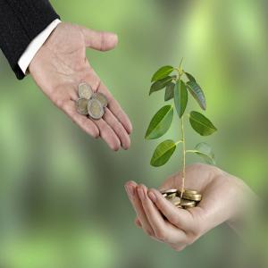  Négoce De Maïs - Investissement capitaux bonsoir, --c'est la campagne de maïs 2023-2024.--je suis à la recherche de partenaires financiers pour le financement d'achats de maïs pour une commande de 2500 tonnes.--la livraison se fera par vague de 250t pour un prix d'achat de 30 000 000 fcfa. le bénéfice net pour 250t est 