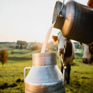  Fournisseur De Laits Et De Produits Laitiers - lait et produits laitiers en tant que fournisseur de laits et de produits laitiers,  nous jouons un rôle central dans la chaîne d'approvisionnement alimentaire en fournissant une variété de produits laitiers de haute qualité à nos clients,  qui peuvent etre des supermarchés,  des r