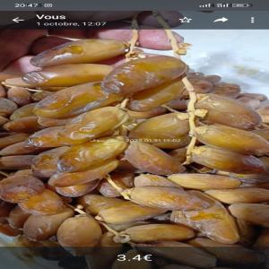  Dattes Algérien Et Tunisien Qualité Premuim - fruits et légumes nous sommes une société d'import-export installé en france et nous travaillons avec notre partenaire sur place en tunisie et algérie. nous proposons principalement des dattes algérien et tunisien à qualité premuim pour des prix imbattables. nous avons