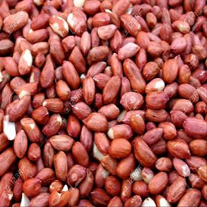  Arachides Décortiquer Et Non Décortiquer Bio - huiles nous sommes à niamey au niger et nous avons un énorme stock d'arachides décortiquer (247 tonnes disponible) et non décortiquer (68 tonnes disponible) de bonne qualités. nous vendons à l'usine exw ''ex works''  la (1) tonne à 670 000 franc cfa( arachid