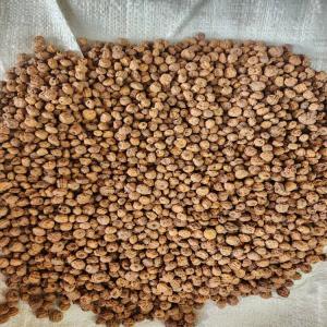  Souchet Séché Premier Choix. Tiger Nut - fruits secs et graines grillées nous avons actuellement du souchet s&eacute;ch&eacute; premier choix d&eacute;j&agrave; nettoy&eacute; et trier. nous sommes une soci&eacute;t&eacute; agricole de production de souchet. nous sommes prets pour toute collaboration avec votre entreprise en vue d'un partenariat &eacute;quitable 