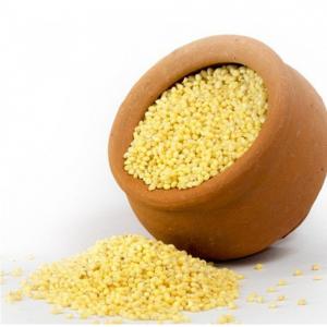  Millet Jaune - céréales le mil de la meilleure qualité est gratuit--de toute odeur nauséabonde et convient également parfaitement à l'alimentation des volailles. nous exportons du mil avec un emballage haut de gamme qui préserve son--valeurs nutritionnelles pendant une période plus