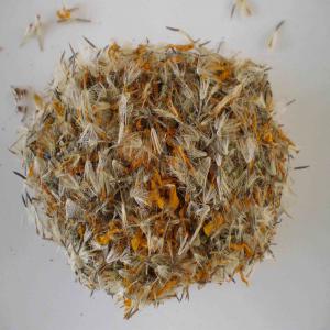  Arnica Montana Fleurs Entières !!! - matiere vegetale arnica montana fleurs enti&egrave;res  tr&egrave;s belle qualit&eacute;  (sommit&eacute;s fleuries) conventionnel ou bio --200 kg et plus --origine ue --en cours de production. disponible fin de l'&eacute;t&eacute;,  d&eacute;but de l'automne.--dispo exw se de la france --prix en fonction du volume 