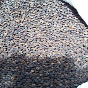  Black Pepper Available In Abidjan/ Côte D'ivoire - aromatic spices we have 100 tonnes of black pepper in abidjan/ c&ocirc;te d'ivoire,  please contact us if you are interested.---price - 5000 fcfa/kg---quantity - 100 t--nous disposons de 100 tonnes de poivre noir &agrave; abidjan,  merci de nous contacter si vous etes int&eacute;ress&eacute;s.--- prix- 5000 fcfa/ kg-
