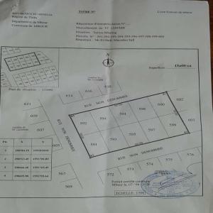  La Noix De Cajou - fruits secs et graines grillées  nous avons une quantit&eacute; importante de cajou de vari&eacute;t&eacute; diff&eacute;rente disponible au senegal. possibilit&eacute; d'exp&eacute;dier partout nous faisons aussi du groupage de conteneur.