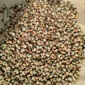  Vente Anarcade - café cacao thé je dispose d'une grande quantité d'anacarde disponible au togo dans une localité proche du bénin à vendre. je cherche des clients sérieux. et non des plaisantins