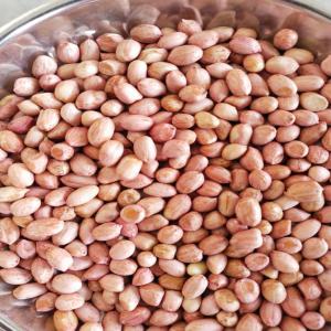  Fournisseur - fruits secs et graines grillées bonjour cher tous nous fournissons actuellement le karit&eacute; et l'arachide pour ceux qui sont int&eacute;ress&eacute; par ces produit contacter nous 