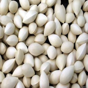  Ginkgo Nuts - fruits secs et graines grillées description du produit---noix de ginkgo surgelées - noix de ginkgo surgelées individuellement (iqf)----caractéristiques-----noix de ginkgo de couleur naturelle--noix de ginkgo de couleur verte--noix de ginkgo de couleur jaune--emballage-----900g x 10/boîte--500g x 20/bo&ic