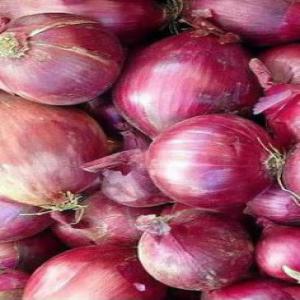  Oignons Du Niger - fruits et légumes notre entreprise cherche des clients pour la vente de l'oignon du niger pour ceux qui sont dans l'espace cedeao 