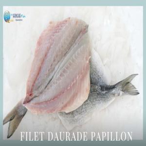 Supplier Of Royal Sea Bream, Lean Sea Bass, Sea - fish hello--we are  hanchia fish aquaculture  company sise in tunisia,  a breeding and marketing company for marine species---• annual production- 8000 t--•species (fresh and frozen) ---o sea bream / sparus aurata--o sea bass    /   dicentrarchus labrax--o meagre    /    argyrosomus regius--filets seabrea