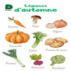  Offre De Légumes Frais Et De Semences De Pommes - fruits et légumes startup opérant dans le secteur agricole,  se spécialisant dans la fourniture de légumes tels que les oignons,  les pommes de terre,  les carottes,  le gombo,  le chou,  le piment,  ainsi que des semences de pommes de terre de différentes variétés. nous recherchons