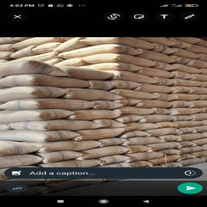  Sesame Du Soudan De Bonne Qualite Pres Exportat - fruits secs et graines grillées nous producteur et exportateur de sesame soudanais on cherche des clients francais .ou creer une partenariat pour  acceder ou marche european 
