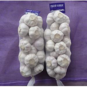  Ail Et Gingembre - fruits et légumes ventes de l'ail et gingembre frais en prévenance de chine,  très bonne qualité et prix abordable.pour plus de détails concernant les deux produits,  contactez nous.