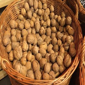  Noix En Coque. Discount - fruits secs et graines grillées bonjour,  nous sommes installés en ukraine et en pologne,  avec deux usines de traitement de noix. --nous offrons des noix d'ukraine au départ de la pologne. visite sur place. --récolte 2023. --le prix est sans compétition. 