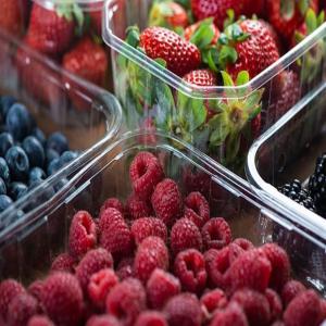  Exportateur De Fruits Et Légumes De Qualité - fruits et légumes nous sommes une entreprise au maroc spécialisée dans l'exportation de toutes sortes de fruits et légumes vers le monde entier ( framboise,  mure,  myrtille,  poivrons,  tomates,  courgettes ..... ) nous sommes fiers de proposer des produits de la plus haute qualité à de