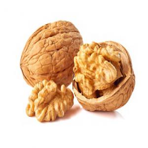  Noix En Coque. Variétés Françaises. - fruits secs et graines grillées nous vendons des lara et des fernor,  de la récolte actuelle. séchées et lavées avec soin. --n'hésitez pas à nous joindre avec une offre de prix !--