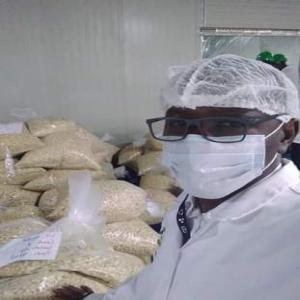  Noix De Cajou Brute Decortiquee - fruits secs et graines grillées coopérative agricole basée dans le district de yamoussoukro(cote d ivoire), --nous disposons d'amande de cajou brute et d 'une unité de décorticage d'amande pour l'export.nous cherchons partenaires --durables et efficaces(cote d ivoire