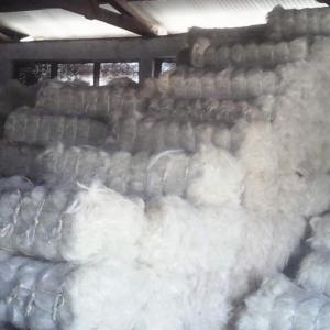  Fibre De Sisal Ou Filasse - bois charbon fibre nous sommes à la quete de client pour fournir aux pays de la sous région à partir de lomé et autre chaque mois 50 tonnes et d'ici un an max jusqu'à 200 tonnes le mois.--origine du produit kenya 