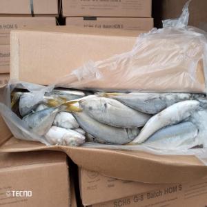  Vente De Produits Congelés - poissons  monsieur ou madame nous sommes une soci&eacute;t&eacute; ayant des partenariats avec des fournisseurs de poissons et volailles dans le monde entier nous voudrions bien avoir des relations d'affaires avec tes clients qui sont dans la recherche de fournisseurs pour des partenariats francs 