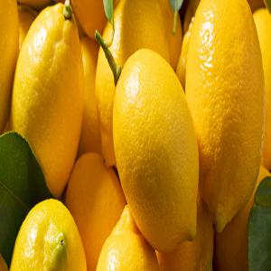  Citron Vert Et Jaune - fruits et légumes  nous proposons dans le march&eacute; international le citron vert et jaune origine tunisienne 