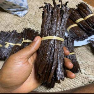  Recherche Des Acheteurs De Vanille - épices aromates nous disposons de 1000 tonne de en ouganda,  nous avons de bonnes qualit&eacute;s de vanille. nous pouvons vends ce stock en magasin en ouganda ( kampala) et en fob au port de kenya( mombasa). le prix en magasin est 105 dollars usd la tonne et 125 dollars usd la tonne pour fob. nous recherchons des c
