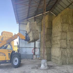 Vente De Foin Pays De La Loire - aliments pour animaux vends foin de gramin&eacute;es et foin de prairie--stock&eacute; sous abris apr&egrave;s r&eacute;colte --bottes carr&eacute;s de 90x120x240--pas de traitements pesticides--conditions tarifaires - suivant quantit&eacute;