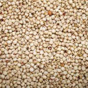  Recherche Acheteur De Céréales - céréales  cher tous nous sommes une entreprise qui &eacute;volue dans le domain agroalimentaire nous sommes pr&eacute;sent au s&eacute;n&eacute;gal et au niger nous disposons de produits c&eacute;r&eacute;aliers tel que le mil le sorgho blanc et rouge le haricot blanc et rouge le s&eacute;same