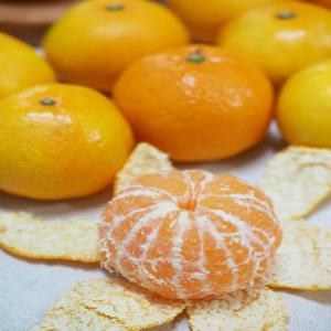  Fournisseur Ananas Et Mandarine - fruits et légumes je suis un producteur de fruits et l&eacute;gumes depuis la cote d'ivoire. actuellement l'ananas et la mandarine sont en abondance et de tr&egrave;s bonne qualit&eacute;. je cherche des acheteurs partout dans le monde avec un prix tr&egrave;s abordable. 