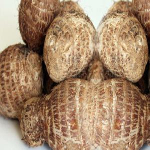  Taro Frais Pour Exportation - fruits et légumes la côte d'ivoire est le 3e plus gros producteur de taro dans toute l'afrique après le nigéria et le ghana. se développer à l'international est le reve de beaucoup d'entreprises ,  espérant croissance,  rentabilité et prospérité. ce projet s