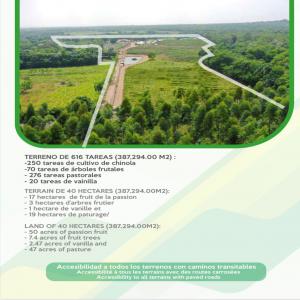  Ferme De 40 Hectares (fruit De La Passion) - Industrie exploitation cherche partenaire pour reprendre &agrave; terme une ferme de 40hectares en republique dominicaine, maison,  bureau,  entrepots,  atelier,  laboratoire d'analyse avec zone de production et d'elaboration,  materiel agricole,  ruches,  70 panneaux systeme solaires,  electricit&eacute; avec contrat edeeste pour