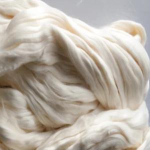  Coton Grande Quantité - matiere vegetale nous vous proposons du coton haute qualit&eacute; livraison &agrave; la destination de votre choix. possibilit&eacute; de fournir les test sgs. disponible jusqu'&agrave; 250.000mt par mois. contrat longue dur&eacute;e/ spot. paiement mt 700 / mt760. contactez nous au plus vite.