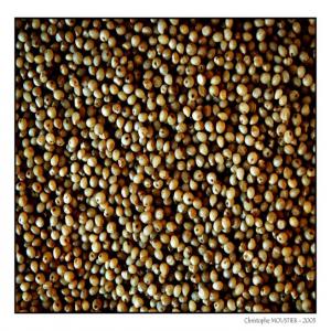  Recherche Acheteur De Céréales - céréales  nous sommes une entreprise s&eacute;n&eacute;galaise &agrave; la recherche de client pour nos produits tel que le mil sorgho blanc et rouge le s&eacute;same et le haricot rouge et blanc. merci de bien vouloir nous contacter pour avoir les prix si vous etes int&eacute;ress&eacute;s. 