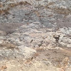  Vente De Kaolin Brut - stone rock bonjour nous avons un permis d'exploitation de kaolin premier choix excellente qualit&eacute; en brut au mauritanie nous cherchons actuellement des clients s&eacute;rieux pour de grandes quantit&eacute; &agrave; prix d&eacute;fiant toute concurrence. (...) ...----- restriction -partout dans le monde