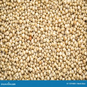  Recherche Acheteur - céréales  nous sommes une entreprise agroalimentaire s&eacute;n&eacute;galaise nous disposons de produits c&eacute;r&eacute;aliers tel que le mil le sorgho blanc et rouge le haricot blanc et rouge le s&eacute;same etc nous vendons &agrave; la tonne merci de nous de contacter pour avoir 
