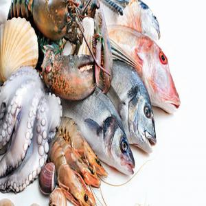  Partenaires Acheteurs Pour Produits Halieutiques - poissons nous sommes une entreprise basée à madagascar,  spécialisée dans l'exportation de produits halieutiques de qualité exceptionnelle. forts de notre professionnalisme,  nous disposons d'installations de pointe,  notamment des usines équipées de technologies