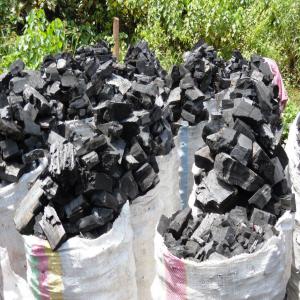  Charbons Du Bois Béninois - bois charbon fibre le charbon de bois provient du b&eacute;nin.--nous disposons aussi des bois de th&egrave;ques tr&egrave;s tr&egrave;s r&eacute;sistants,  gros moyens et petit.--(b&eacute;nin)