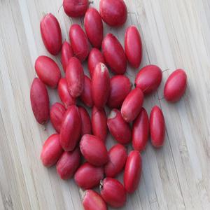  Baies Du Miracles En Gros - fruits secs et graines grillées bonjour,  nous sommes fournisseur de baie du miracle (miraculine) baie entière séchée ,  demi baie séchée,  pastille et poudre. si vous recherchez un approvisionnement nous serions ravies d'échanger avec vous,  sur vos besoins. nous restons a votre disposition.