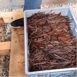  Recherche Fournisseur Vanille Tahitensis - épices aromates recherche client pour vanille en provenance d'am&eacute;rique du sud type tahitensis en diff&eacute;rentes taille