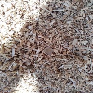  Bois Déchiquetés Pellets - bois charbon fibre petite plaquette r&eacute;sineux  sapin &eacute;pic&eacute;as  granulom&eacute;trie p30 ou p60  taux d'humidit&eacute;  20 /25 % &eacute;corces 3% livraison possible par camion fond mouvant 95 m3 id&eacute;al pour unit&eacute; de granulation pellet ou b&ucirc;ches densifi&eac