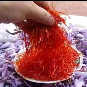  Safran Bio Du Maroc - épices aromates nous commercialisons notre safran cultiver dans la r&eacute;gion de sous au maroc connu par sa meilleure qualit&eacute; sans produits produits chimiques.un safran 100% bio quantit&eacute; disponible aujourd'hui en france 500g &agrave; 10€ le g premier r&eacute;colte 2023 notre stock est bas&eac