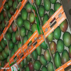  Recherche De Client - fruits et légumes chers amateurs de mangues si vous recherchez l'exp&eacute;rience ultime de d&eacute;gustation de mangues kent de qualit&eacute; sup&eacute;rieure ne cherchez pas plus loin. nous sommes une entreprise d&eacute;di&eacute;e &agrave; l'importation de mangues kent de la plus haute qualit&eacute; et