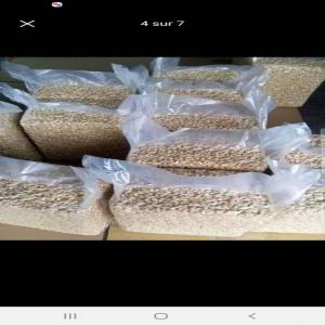  Noix De Cajou Décortiqué Disponible - vegetable matter we have 17 tons of shelled cashew kernels in benin. we need a good buyer to buy ours cashew kernel. contact us for more information.
