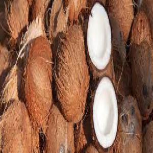  Noix Et Huile De Coco Bio - huiles notre entreprise produit le noix de coco et le transforme également en huile de coco. nous livrons partout dans le monde.