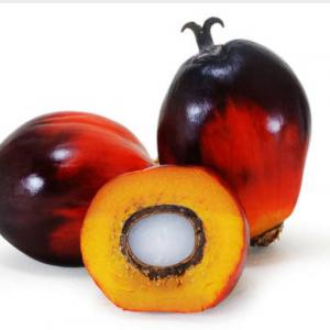  Huile De Palme (huile Rouge) En Vente - huiles ma dana est une entreprise agricole basée en côte d'ivoire qui recherche les clients d'huile de palme (huile rouge)