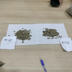 Cafe Robusta. Arabica Grains Vert,cafe Instantane - café cacao thé nous proposons le cafe robusta/ arabica les grains vert ou torr&eacute;fi&eacute;es cafe instantane cafe soluble.coditioner selons le besion du client. me contacter pour avoir les &eacute;chantillons + photo des produits. mes salutations prix a negocier