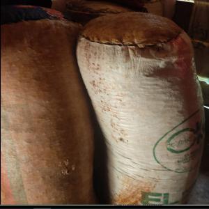  Écoulement D'arachides De L'est Cameroun - autres bonsoir à tous,  je suis à la recherche des clients susceptibles d'acheter ma production d'arachides des sacs de 100kg l9 non décortiqués. je suis au cameroun à yaoundé,  je suis capable de produire de grandes quantités. merci de votre part 